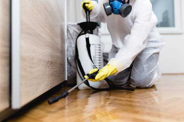 Best Wildlife Control Services  in Valley Falls, RI