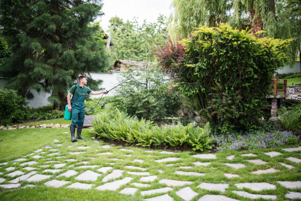 Best Mosquito Control Services  in Valley Falls, RI