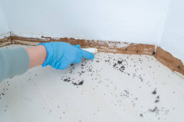 Best Best Pest Control Near Me  in Valley Falls, RI